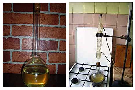 Elixir Urtica dioica